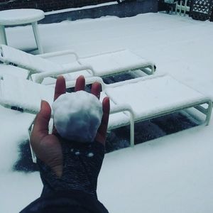 Meet your Posher, Sam